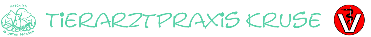 tierarztpraxis-kruse.de